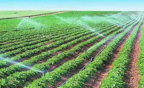 骚货在线扣B网农田高 效节水灌溉